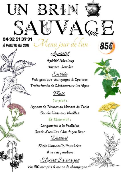 Réveillon à Un brin sauvage_Névache - © Réveillon à Un brin sauvage