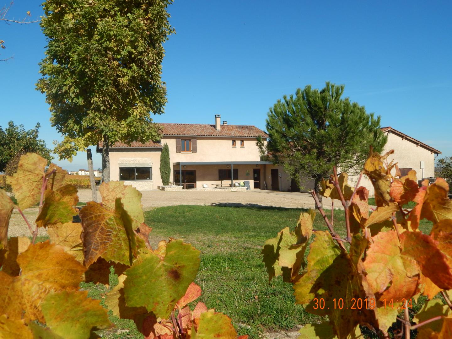 Grand Gîte - 34 personnes - 'Domaine Berger des Vignes' à Pommiers dans le Beaujolais - Rhône.