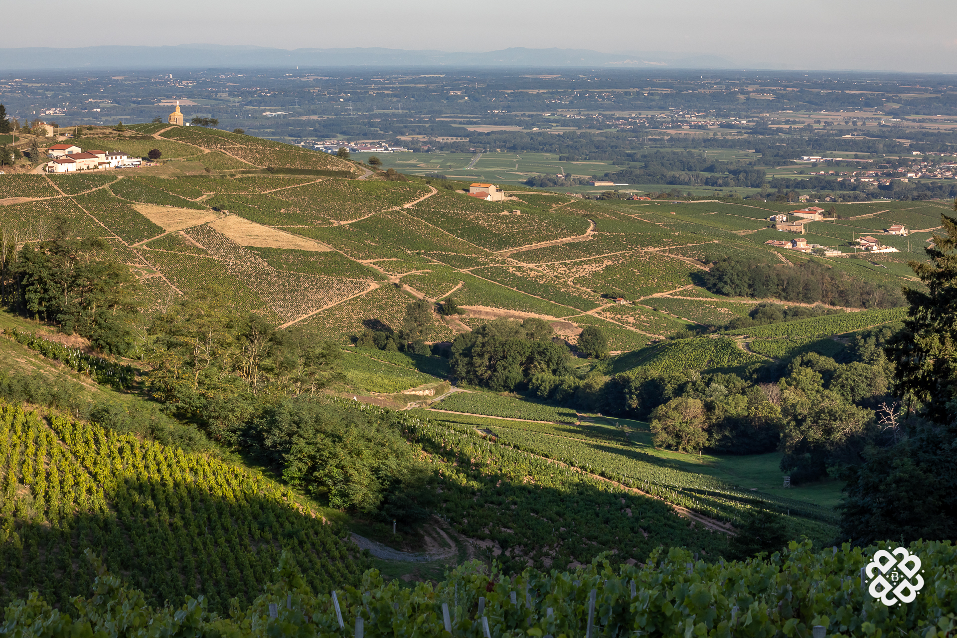 Balade pédagogique sur les pas du Vigneron