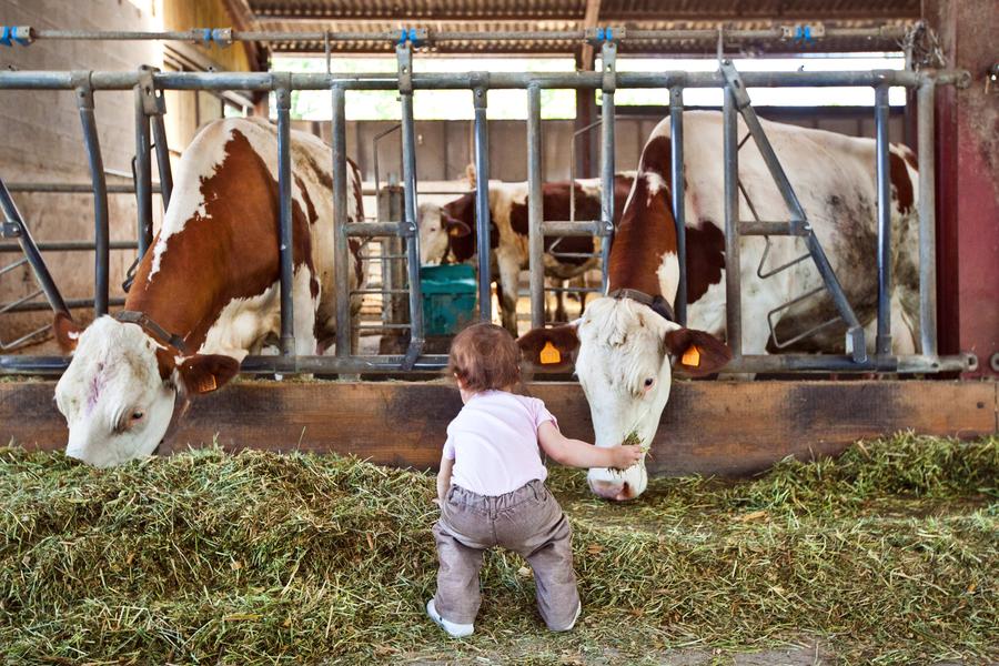 De ferme en ferme dans le Forez_Montbrison
