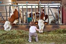 De ferme en ferme dans le Forez_Montbrison