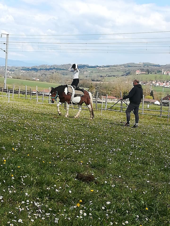 Animation poneys à Gève