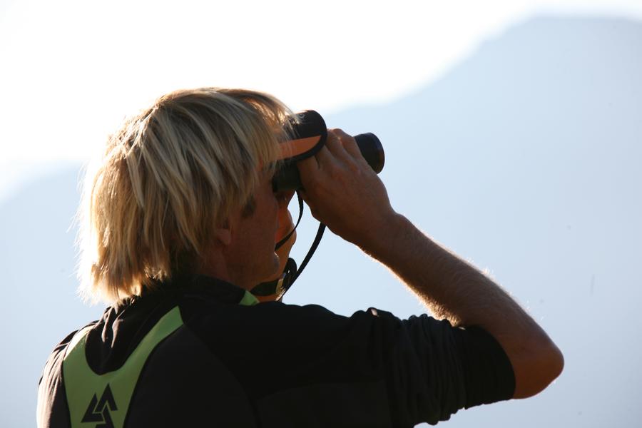 Observation des chamois