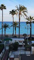 Vue Mer / Palmiers Promenade