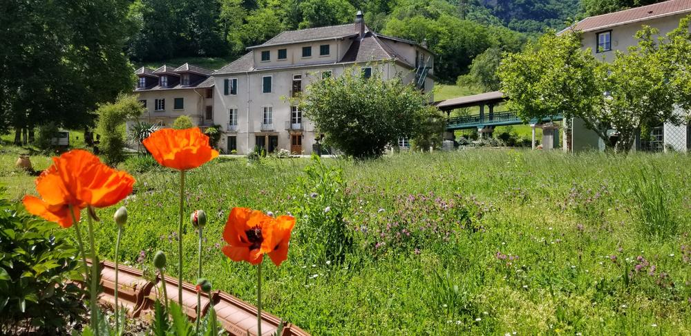 Visite commentée de la crypte et du parc de l'abbaye