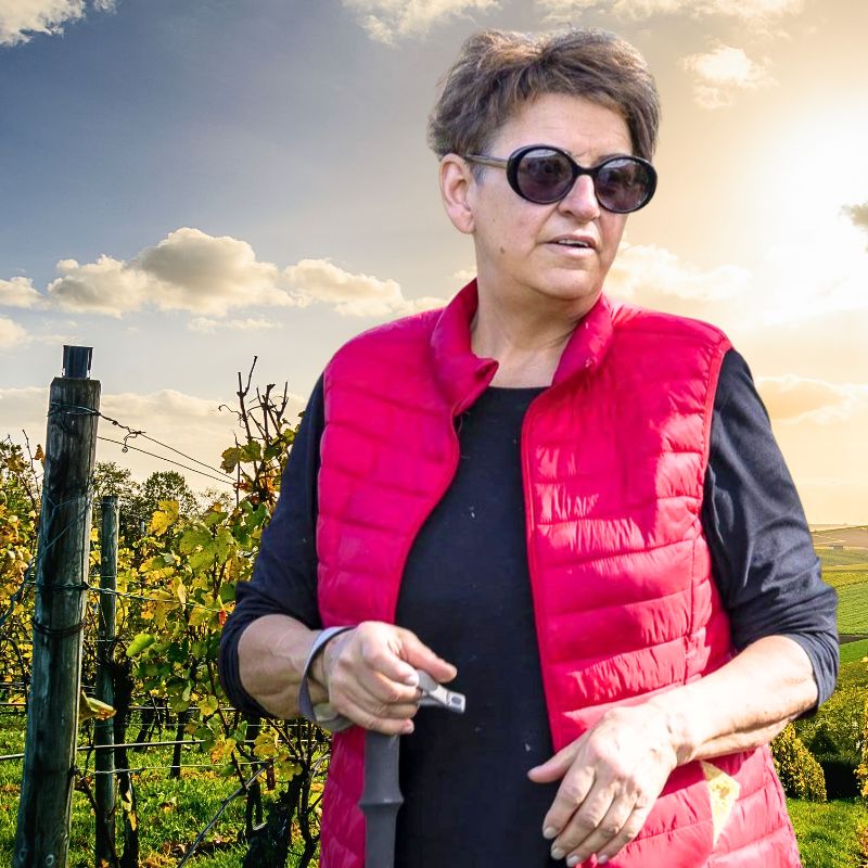 Oenobalade dans le vignoble de Boudes