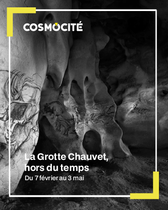 La grotte Chauvet, hors du temps