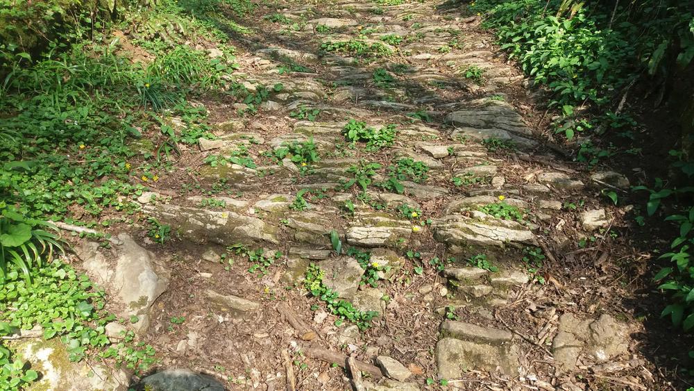 Ancienne voie vallon entre Salavre et Poisoux