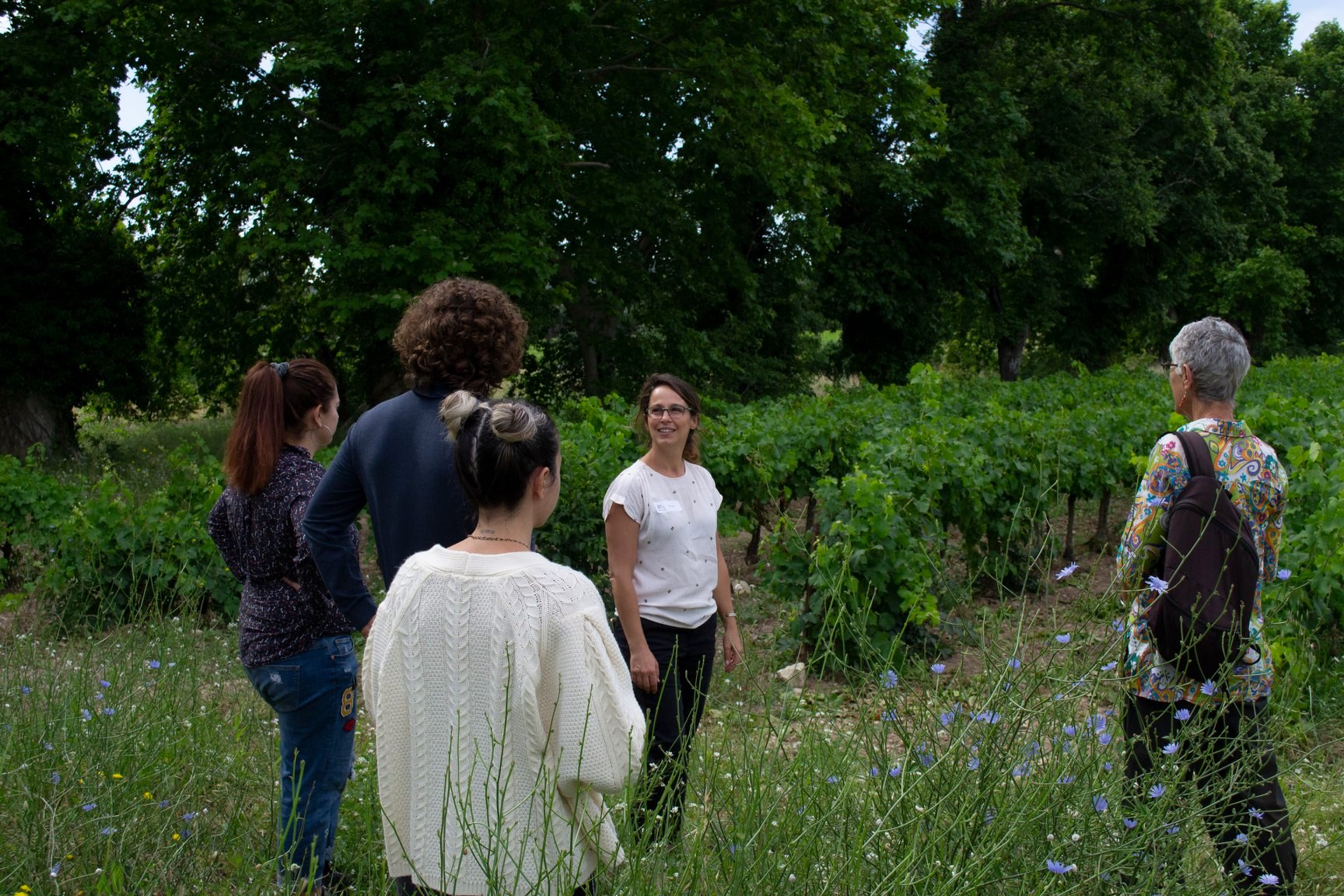 Domaine Roustan, La Fare-les-Oliviers - photo 7