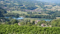 Le vignobe de Jongieux, un paysage à déguster à vélo