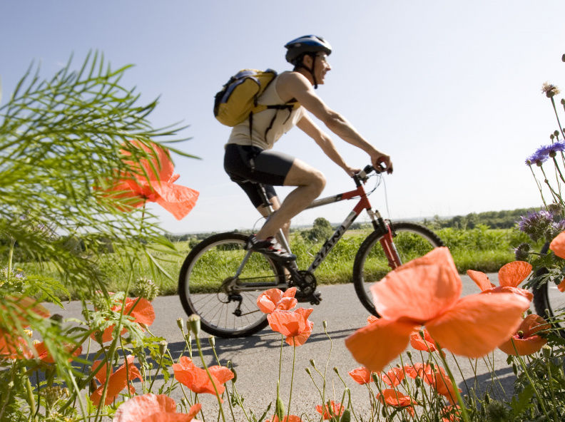 "D'une rive à l'autre" : Location de vélos