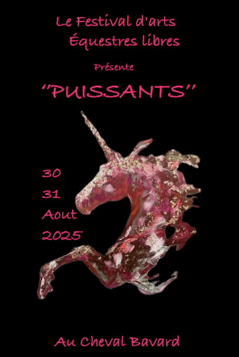 Festival d'arts équestres_Bioussac