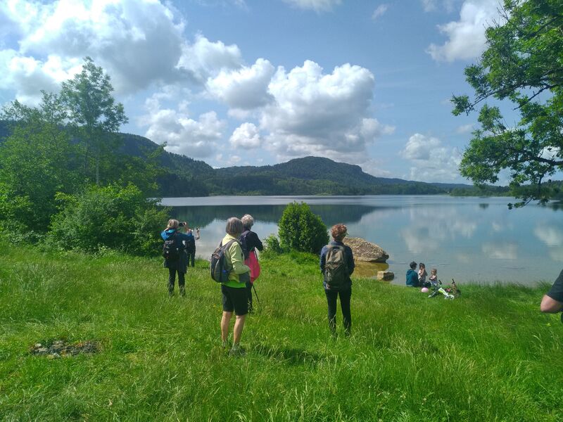 Randonnée pédestre