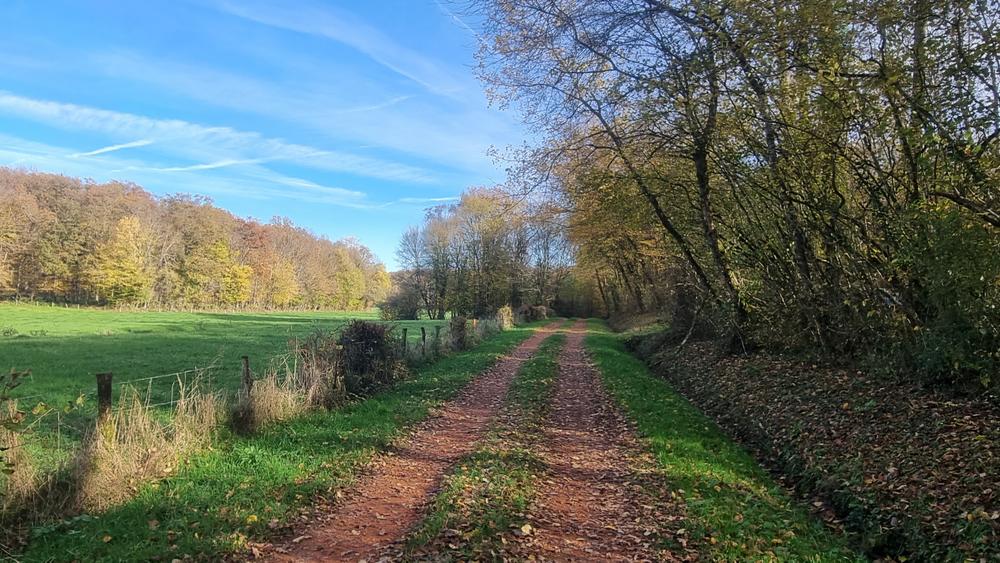 Liaison VTT-VTC (L7) St Trivier de Courtes - Dunes de Sermoyer_Saint-Trivier-de-Courtes