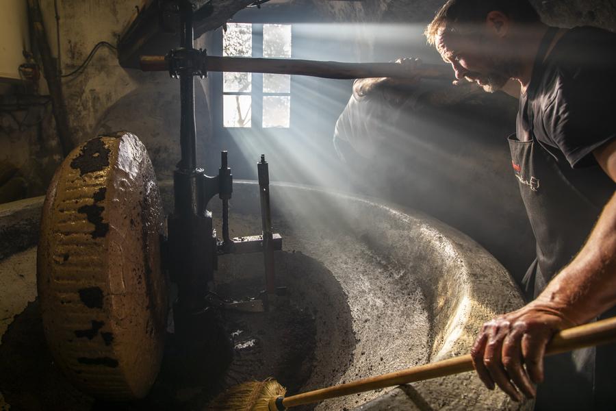 Les moulins en mouvement - Visite guidée flash