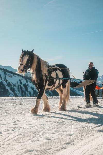 Criterium de Ski Joering_Avoriaz