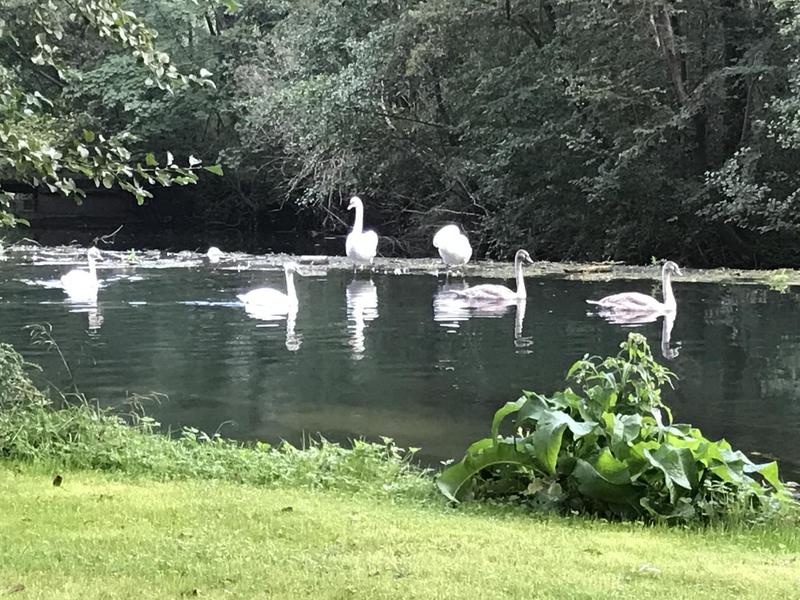 Zone de pêche