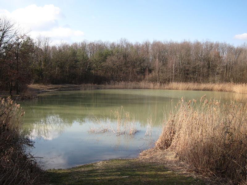 Etang de Colovrex