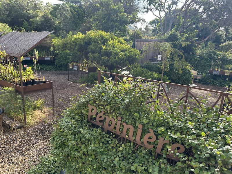 La pépinière du Domaine du Rayol_Rayol-Canadel sur Mer