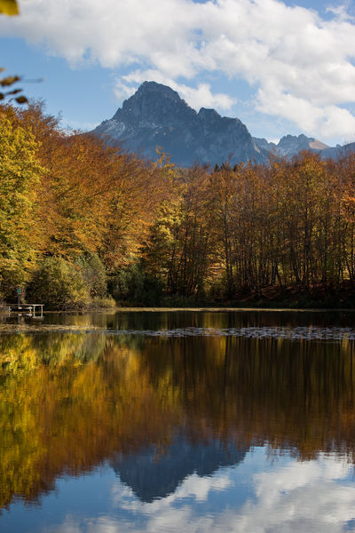 Aux alentours de Saint-Paul Lac Noir