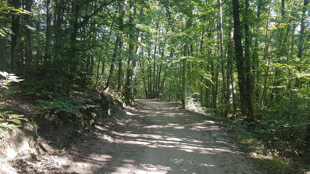 Balade en Vallons Pollionnay