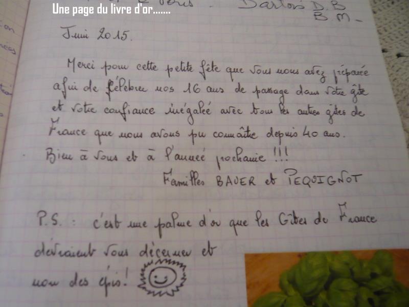 L'Olivade, Eyragues - photo 37