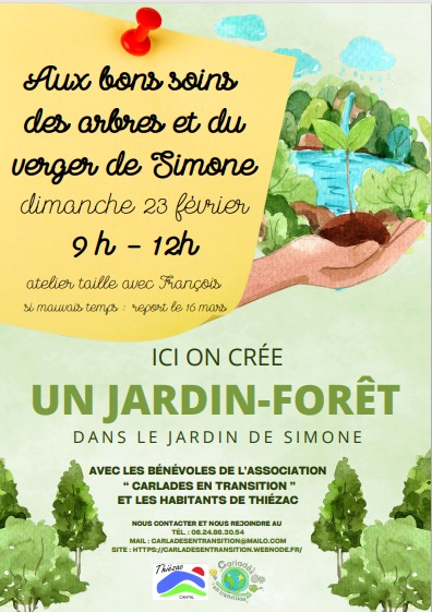 Un jardin forêt dans le jardin de Simone