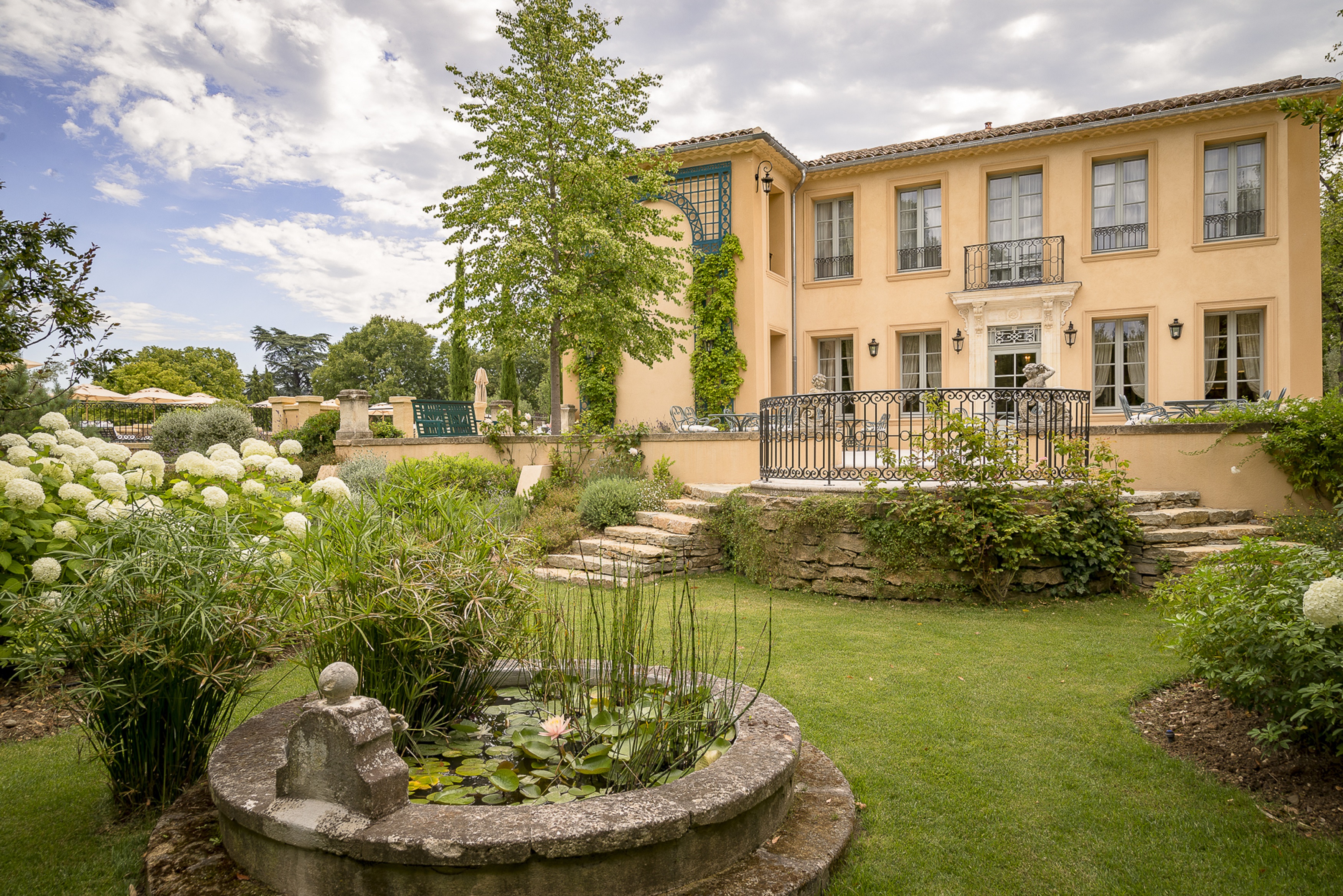 Âma Terra - photo 3