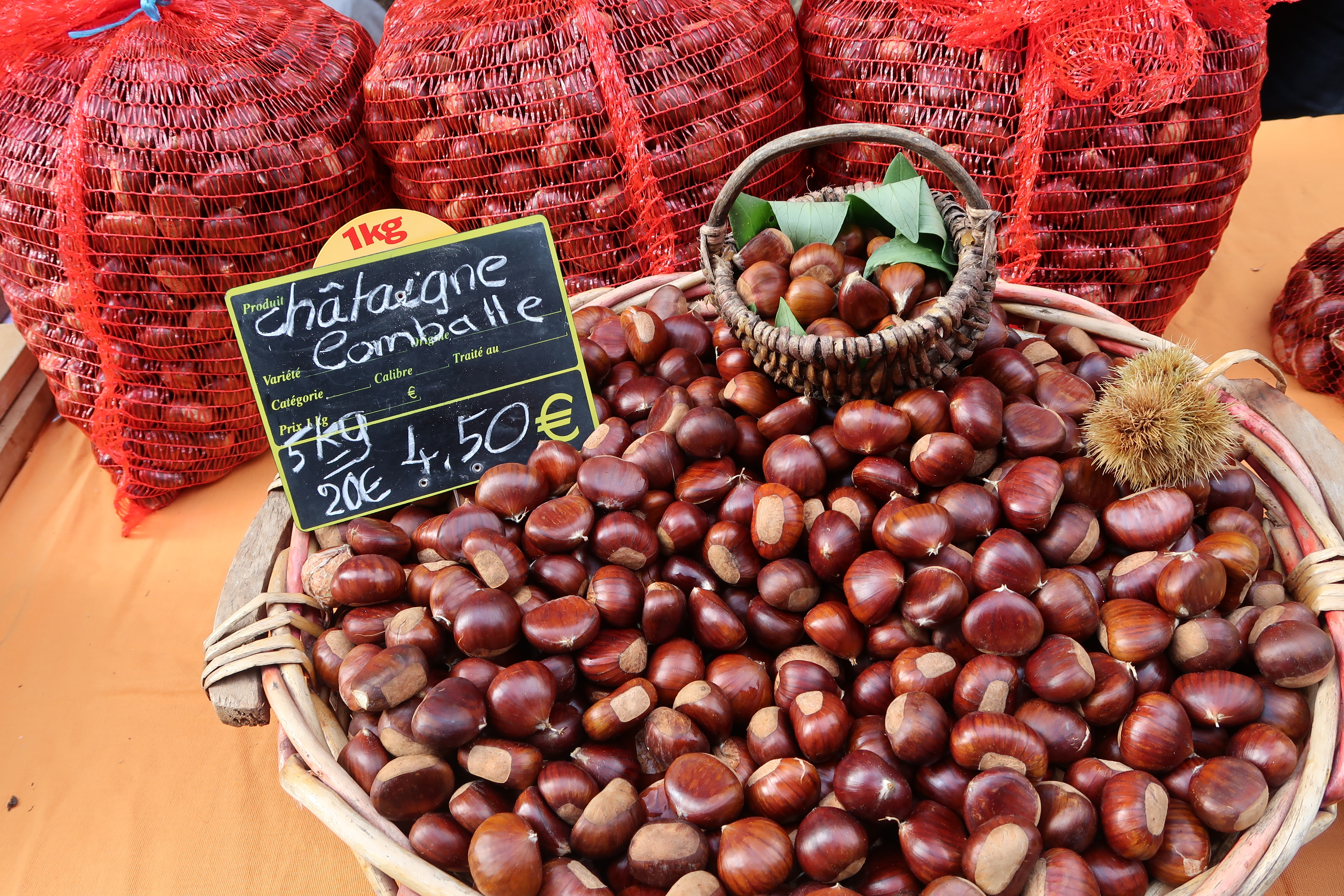 Accueil : Castagnade (fête de la châtaigne) de Chalencon