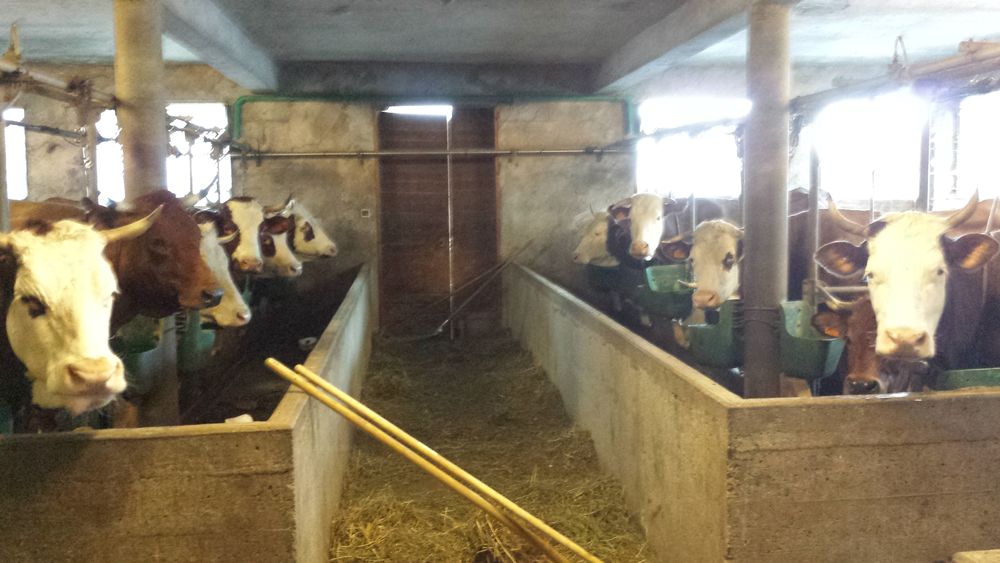 Ferme de la Gardette