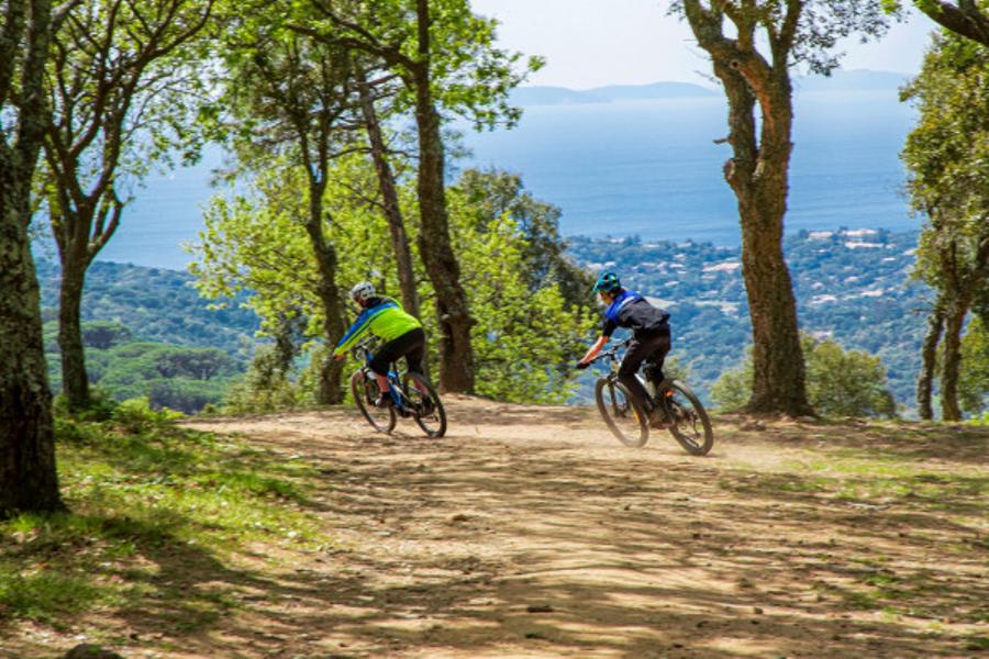 Semi rigid emountain bike rental