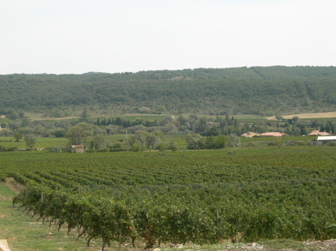 sitraDEG461842_130249_vinificateur-latour-paysage-alba-la-romaine