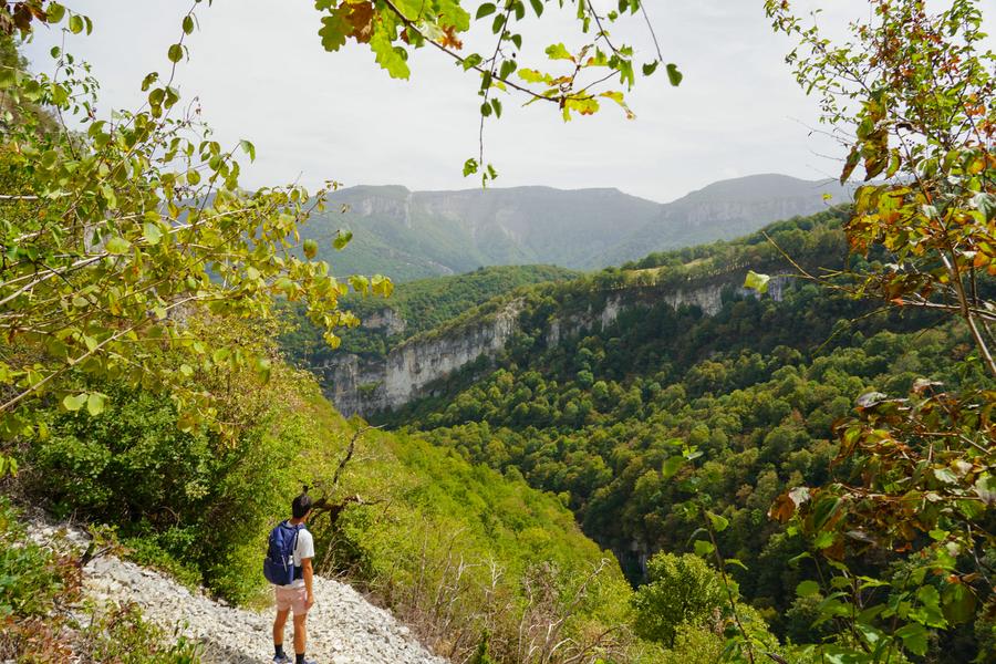 Vue sur pans de montagne verdoyants