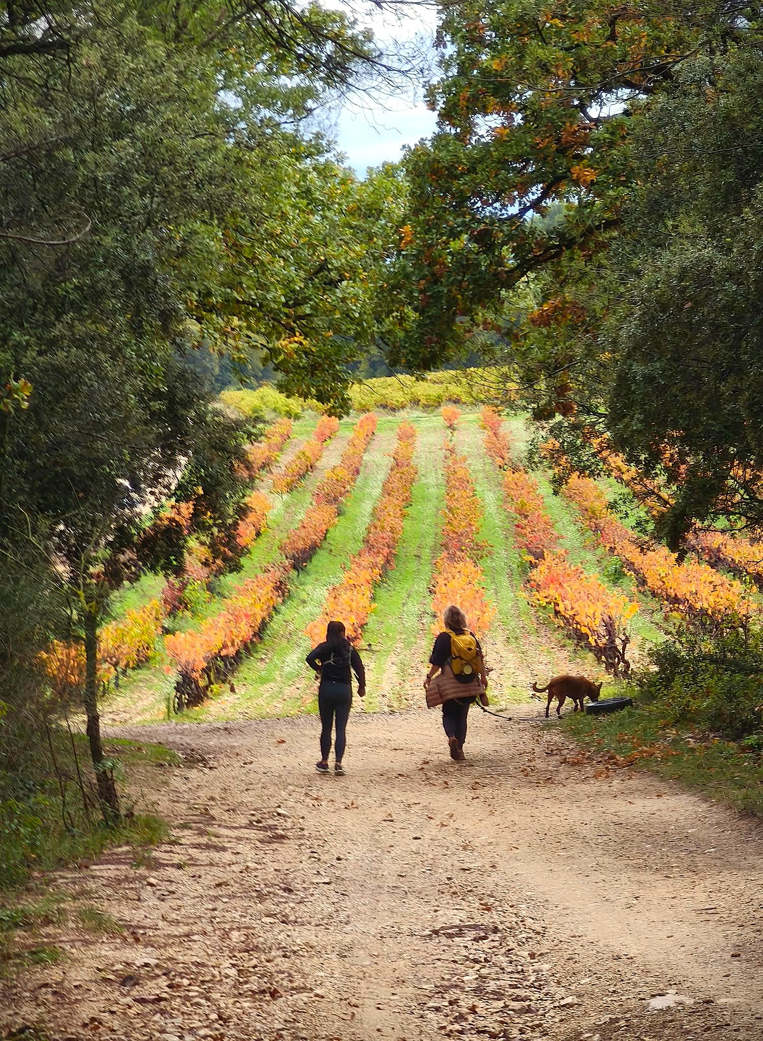 Randonnée de la Courge, Rognes - photo 3