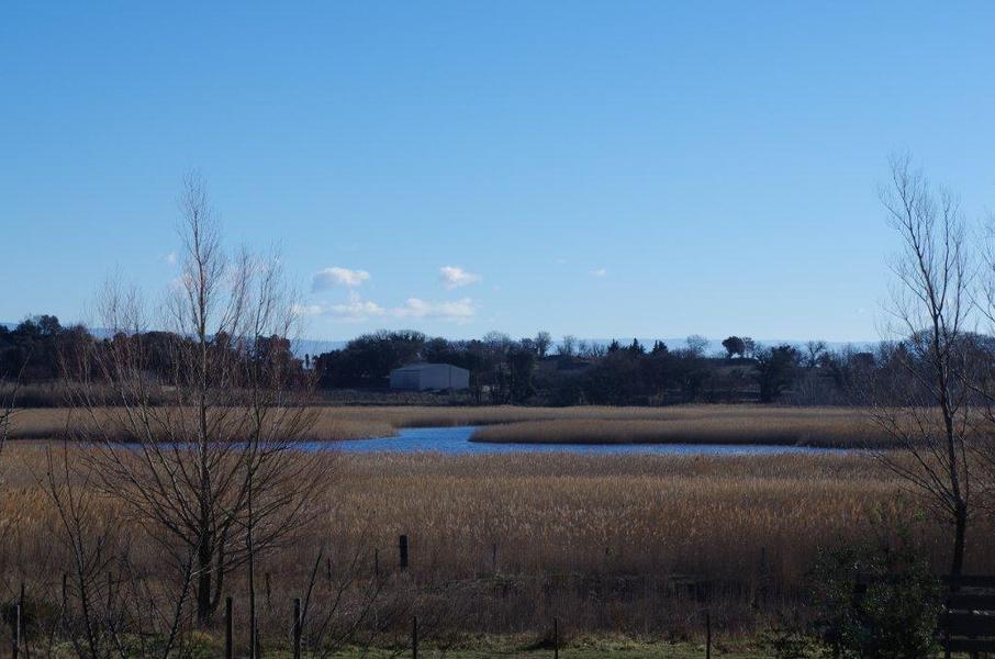 Aire de pique-nique et Toilettes Etang Salé_Courthézon