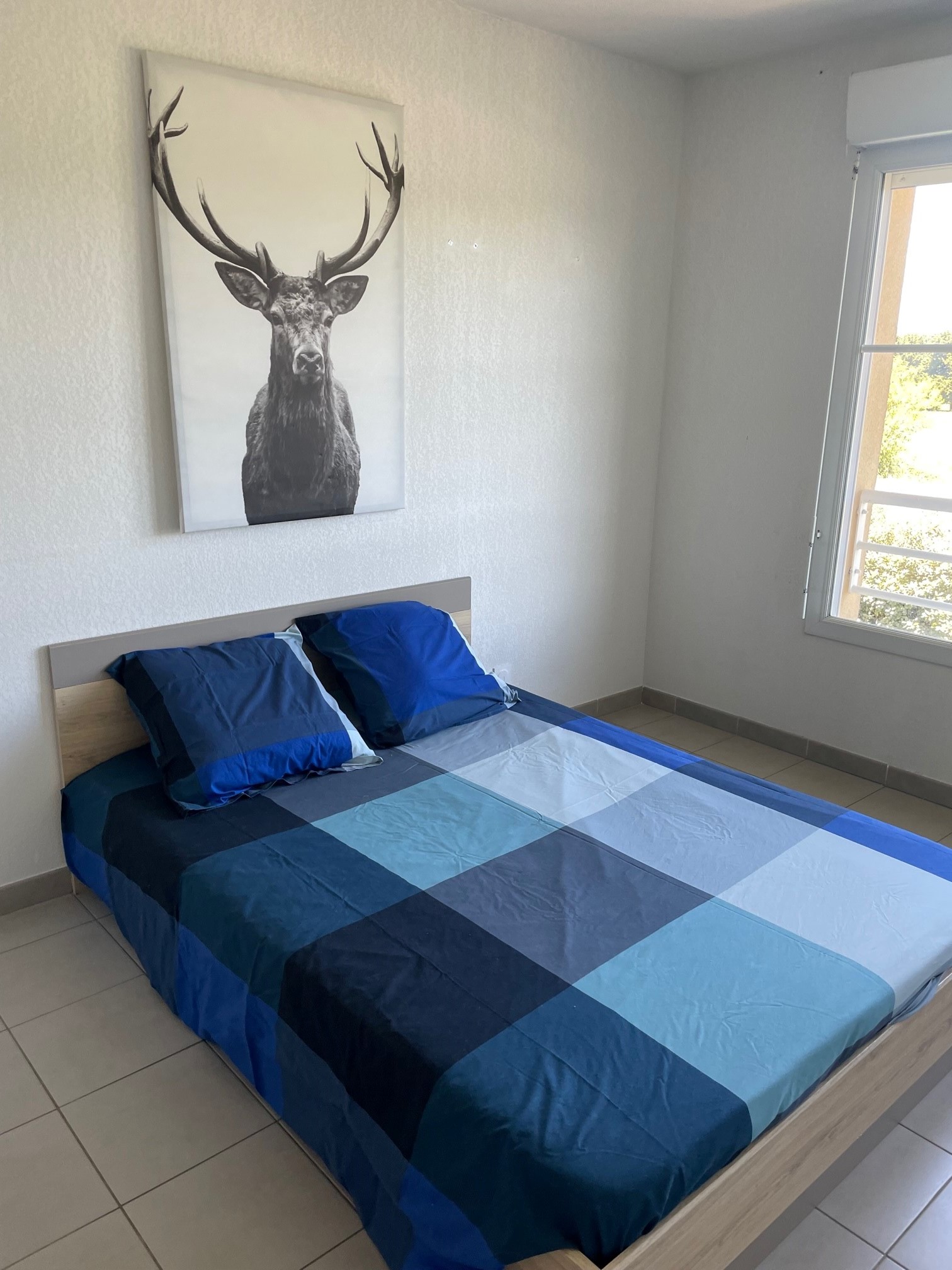 Entre Crau et Camargue