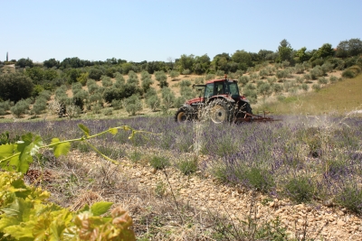 Agriculture