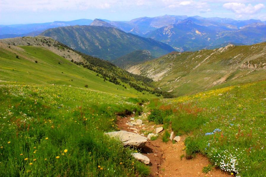 LA GARDE - Le sommet du Teillon