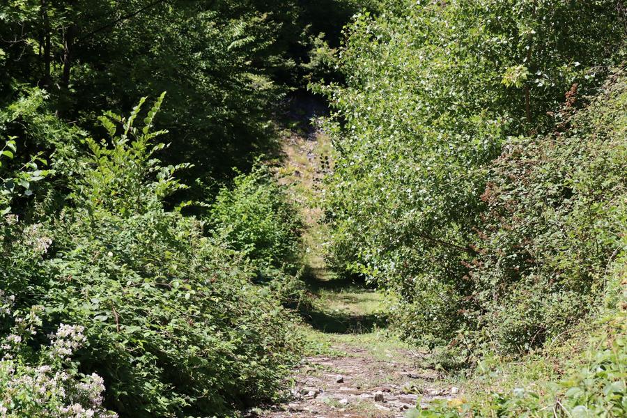 Balcon du rocher aux chamois