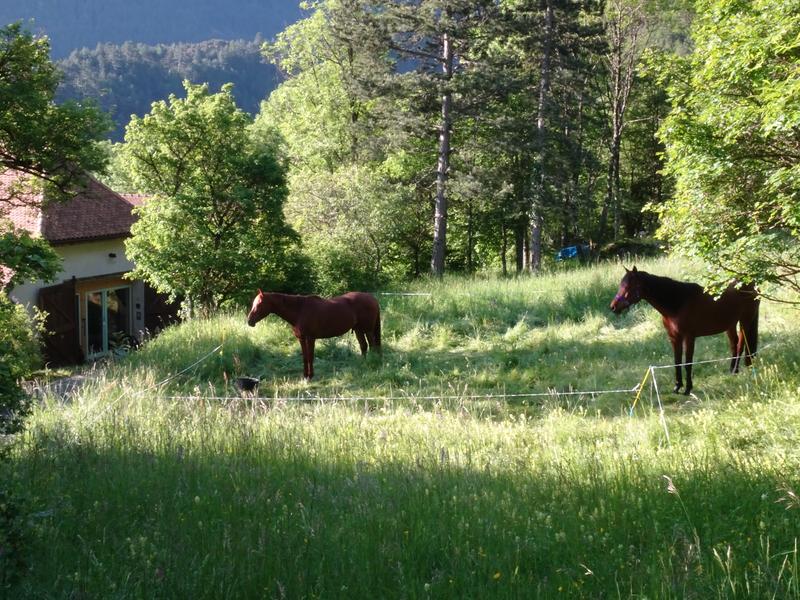 La Casa des Achards - Chambres d'hôtes_Châtel-en-Trièves