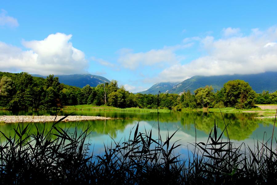 Le Marais de l'Etournel_Pougny