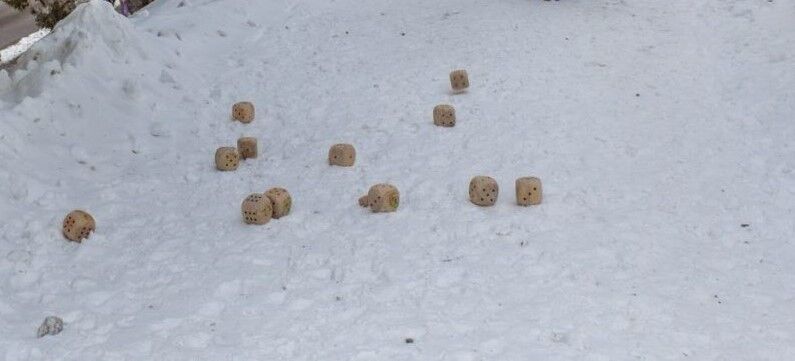 Boules carrées neige