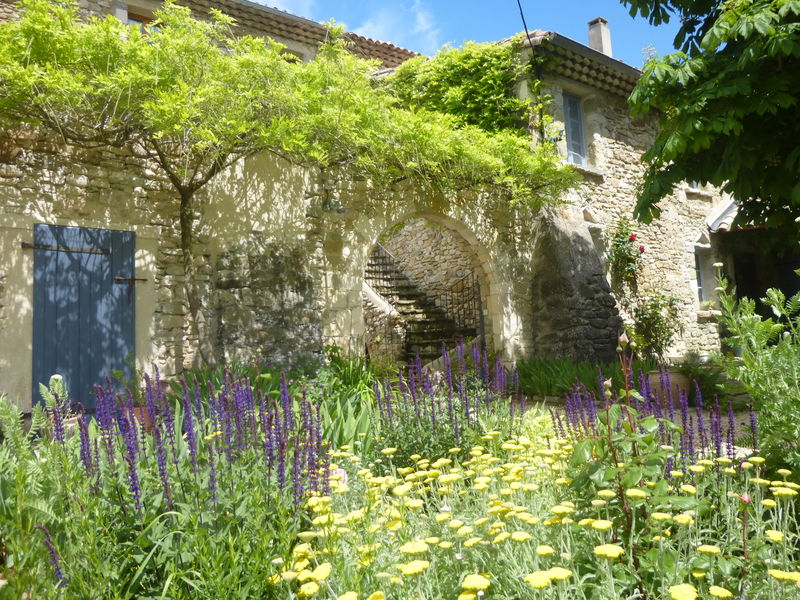 La cour aux marronniers