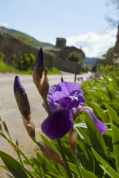 Village de Brossainc