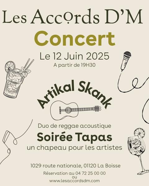 http://Concert%20live%20Artikal%20Skank