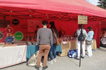 Marchés des artisans et producteurs éco-responsables