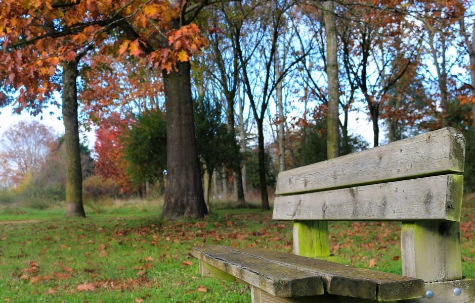 Arboretum de Chatillon-sur-Chalaronne