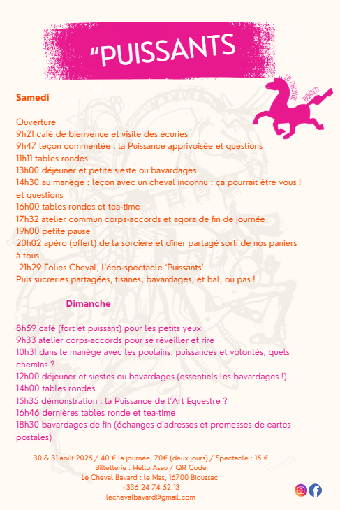 Festival d'arts équestres_Bioussac