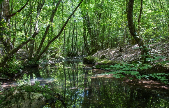 Saint Paul en Forêt