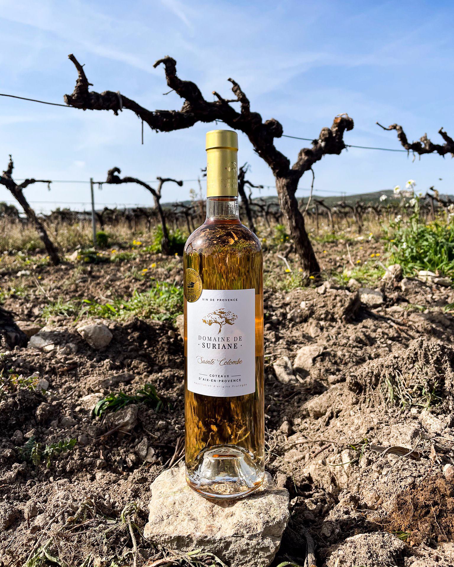 SCEA DOMAINE DE SURIANE, Saint-Chamas - photo 12